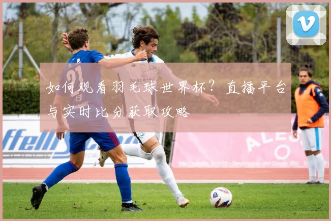 如何观看羽毛球世界杯？直播平台与实时比分获取攻略
