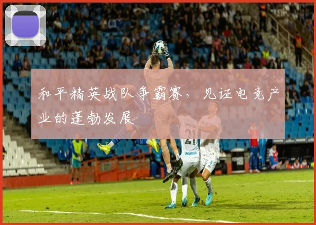 和平精英战队争霸赛,见证电竞产业的蓬勃发展