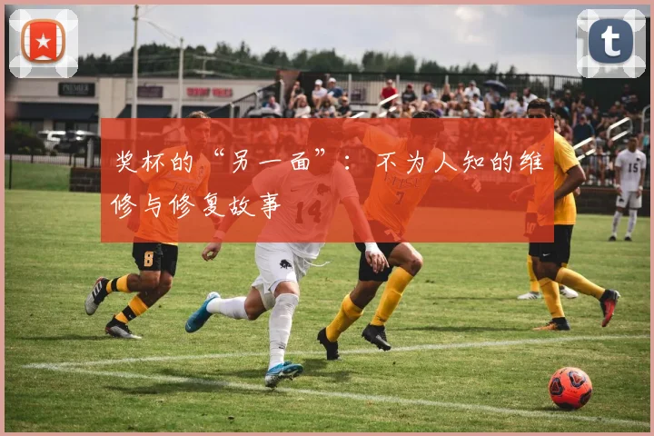 奖杯的“另一面”:不为人知的维修与修复故事